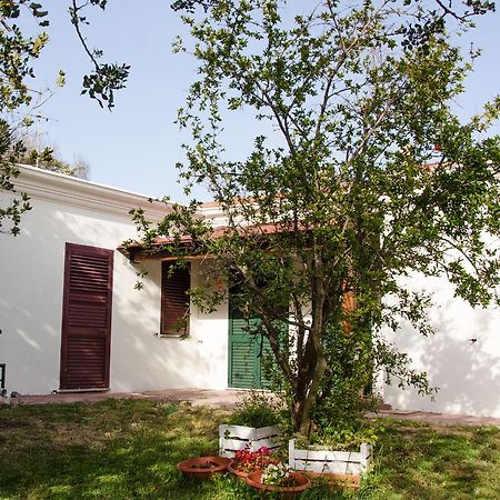 Residence Cort'E Accas Bari Sardo Exterior photo